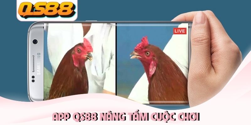 Tải App QS88 - Nâng Tầm Cuộc Chơi Trên iOS Và Android 1 App QS88 nâng tầm cuộc chơi